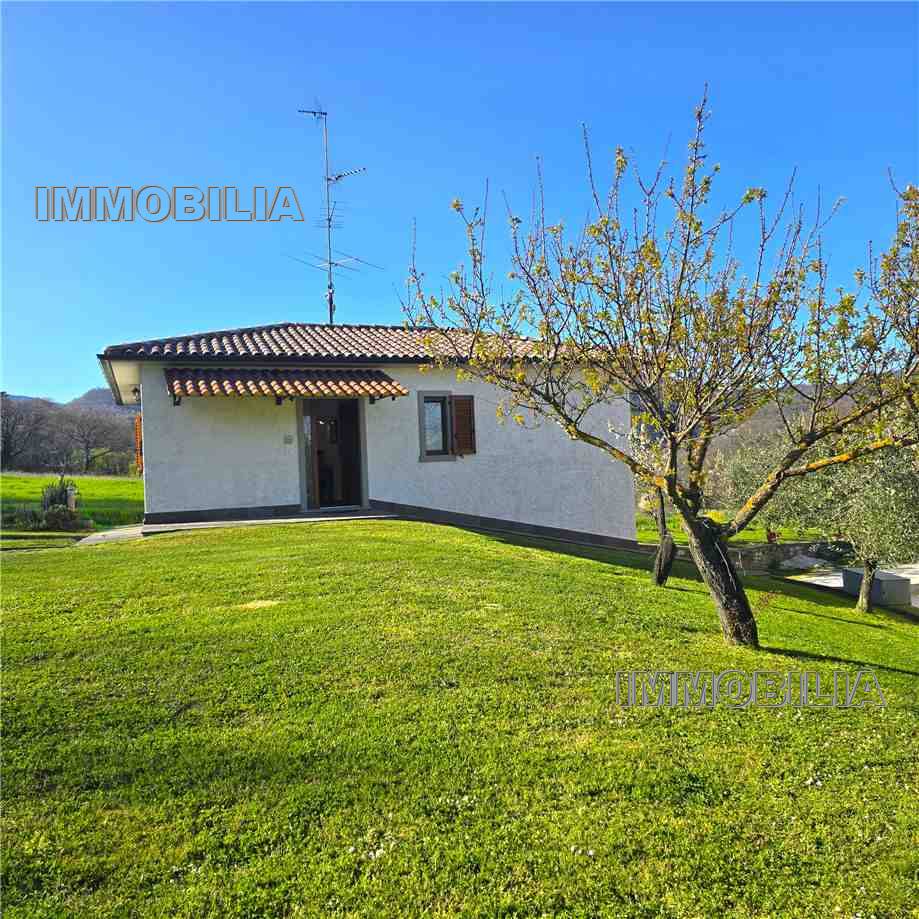 For sale Detached house Caprese Michelangelo  #594 n.2