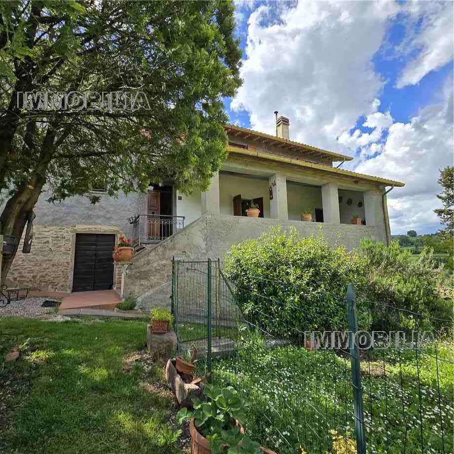 Vendita Rustico/Casale Monte Santa Maria Tiberina Lippiano #598 n.2