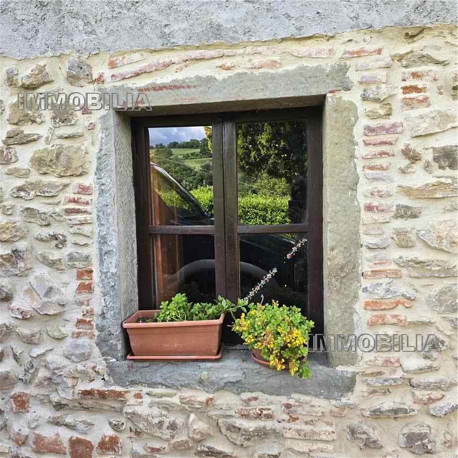 Vendita Rustico/Casale Monte Santa Maria Tiberina Lippiano #598 n.5