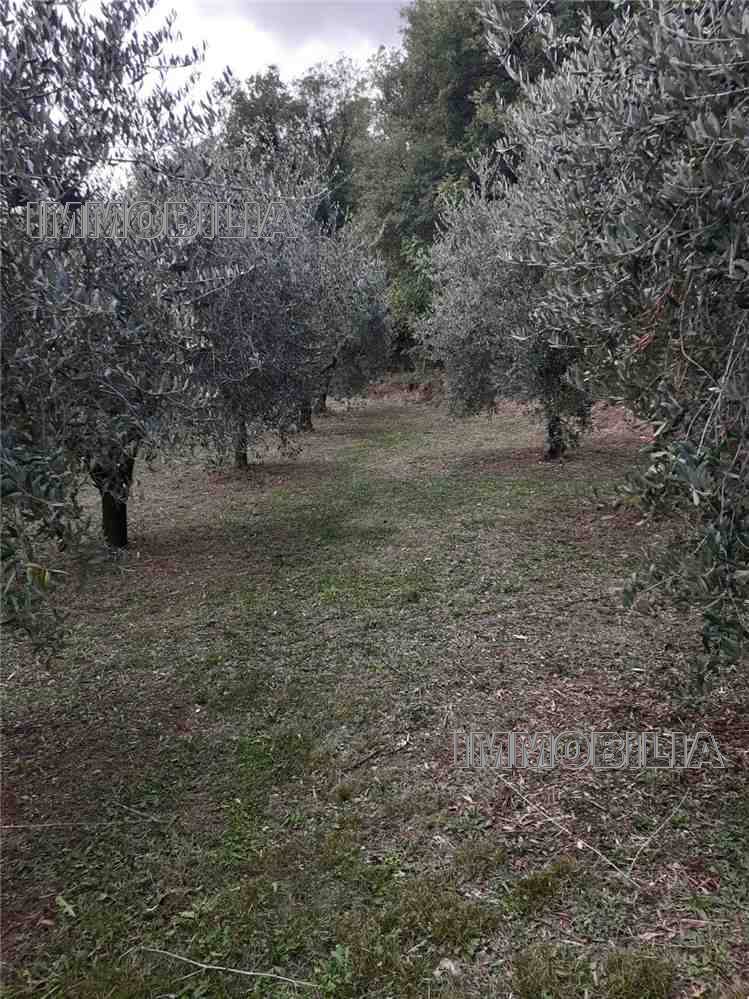 Vendita Terreno agricolo Monterchi  #604 n.4