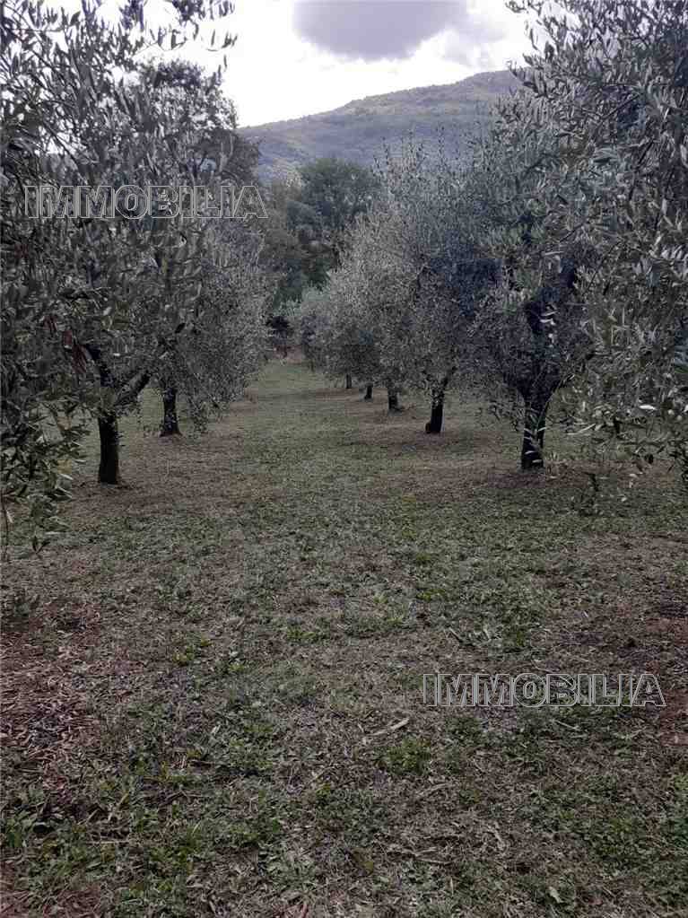Vendita Terreno agricolo Monterchi  #604 n.5
