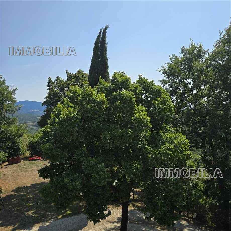 For sale Country house Caprese Michelangelo  #606 n.23