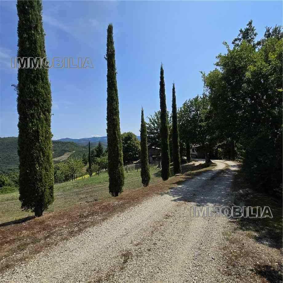 For sale Country house Caprese Michelangelo  #606 n.26