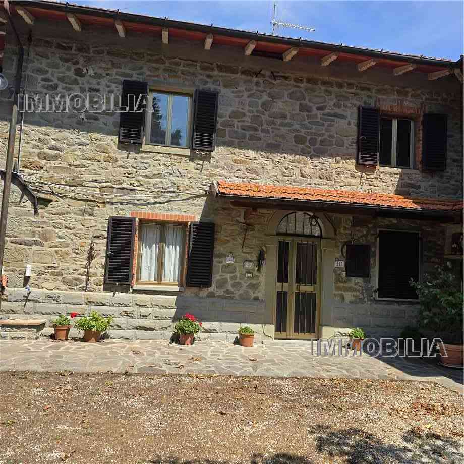 For sale Country house Caprese Michelangelo  #606 n.4