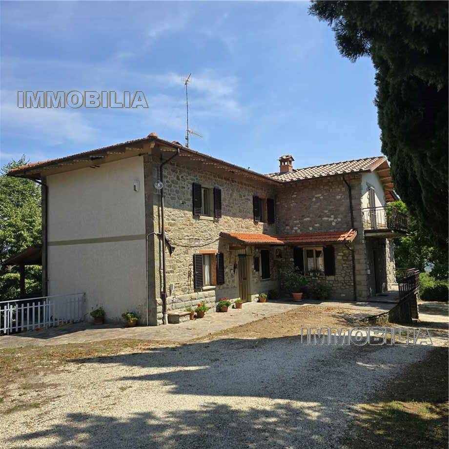 For sale Country house Caprese Michelangelo  #606 n.5