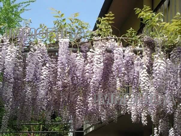 Venta Villa unifamiliar Monterchi  #608 n.29