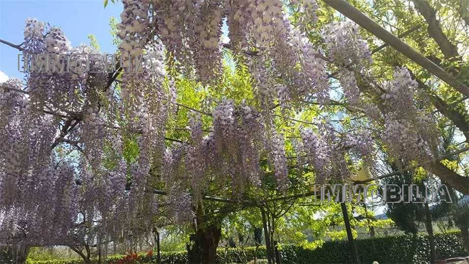 Venta Villa unifamiliar Monterchi  #608 n.30