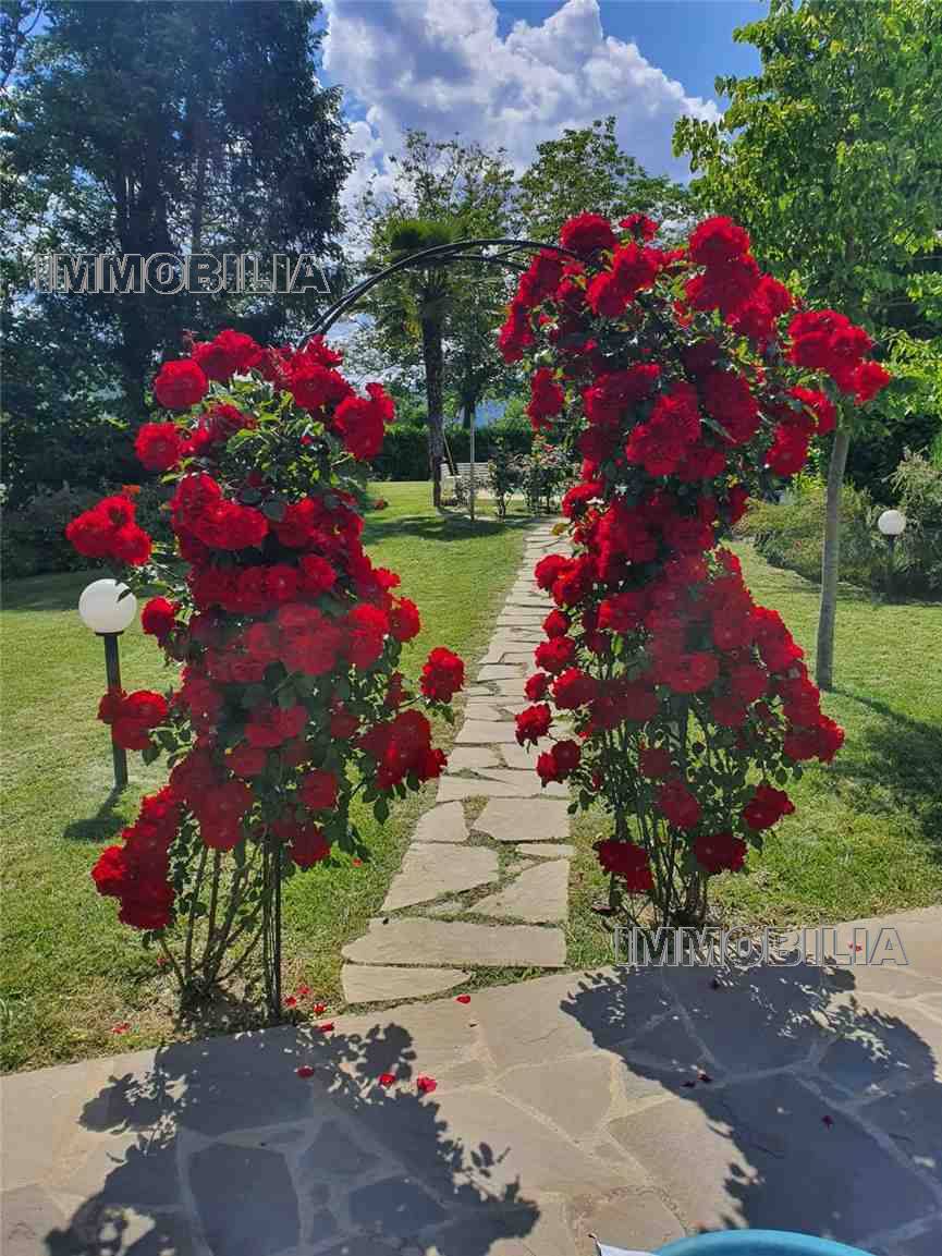 Venta Villa unifamiliar Monterchi  #608 n.35