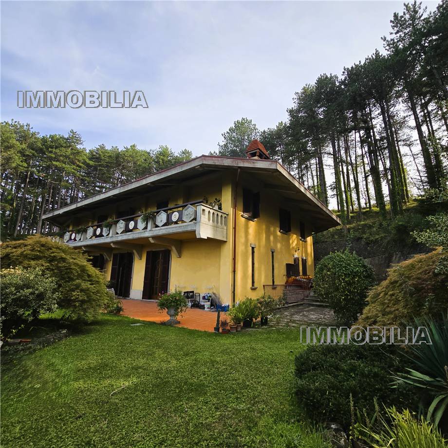 Venta Villa unifamiliar Arezzo  #609 n.33