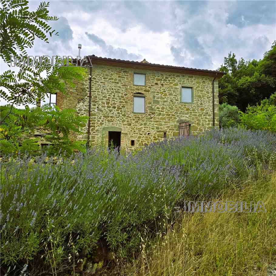 For sale Casale/Cascina/Casa colonica Monterchi  #610 n.11