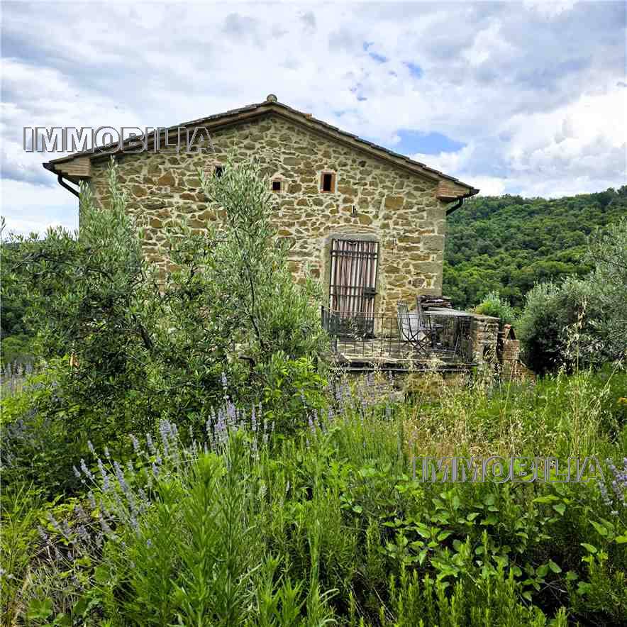 For sale Casale/Cascina/Casa colonica Monterchi  #610 n.13