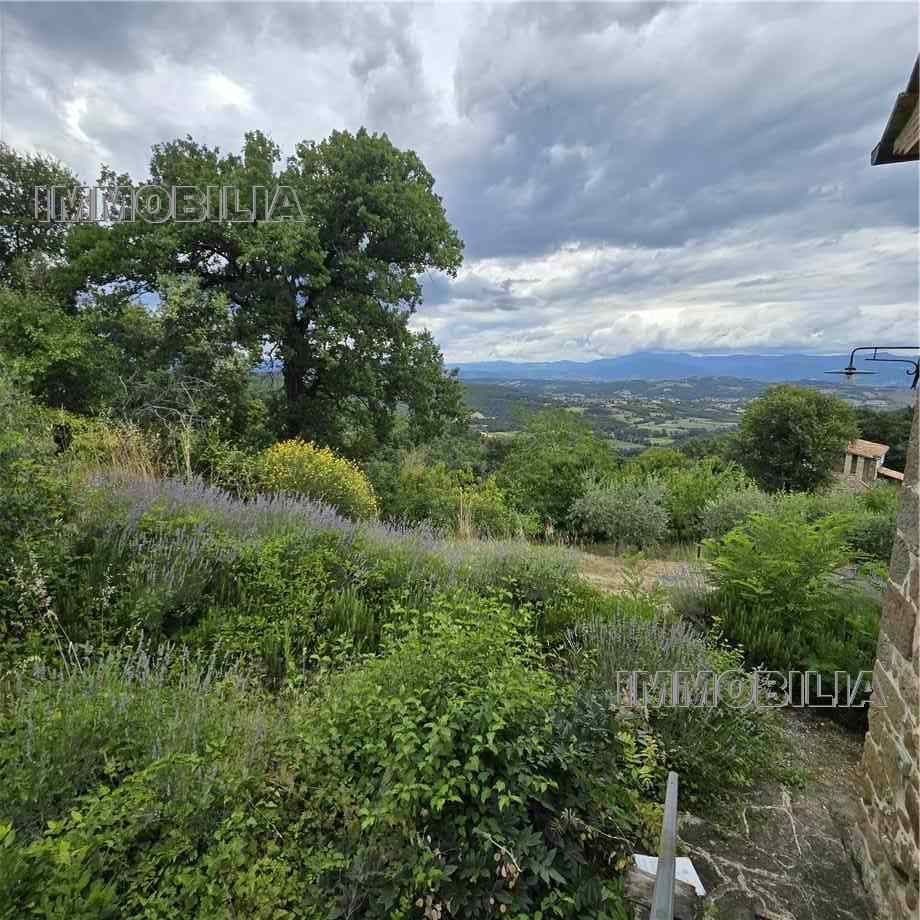 For sale Casale/Cascina/Casa colonica Monterchi  #610 n.15
