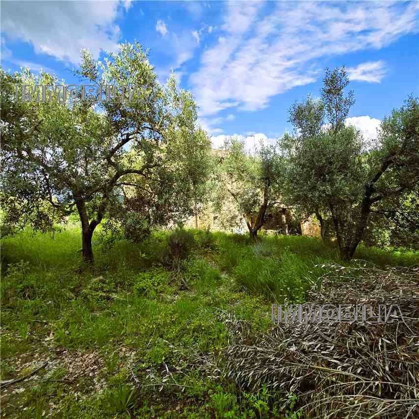 For sale Casale/Cascina/Casa colonica Monterchi  #610 n.3