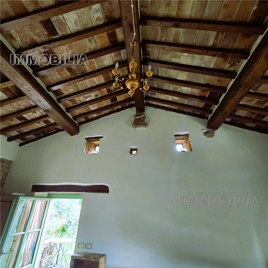 For sale Casale/Cascina/Casa colonica Monterchi  #610 n.30