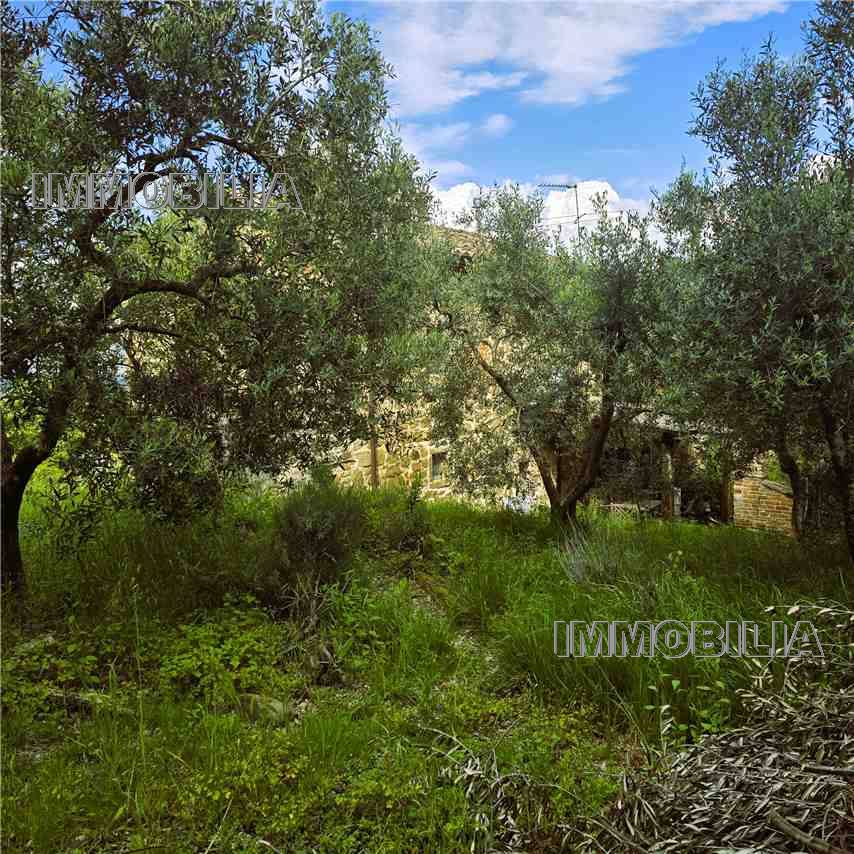 For sale Casale/Cascina/Casa colonica Monterchi  #610 n.4