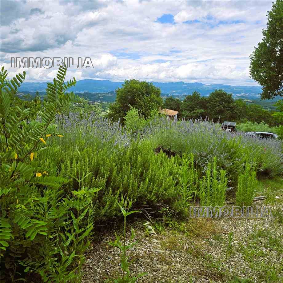 For sale Casale/Cascina/Casa colonica Monterchi  #610 n.5