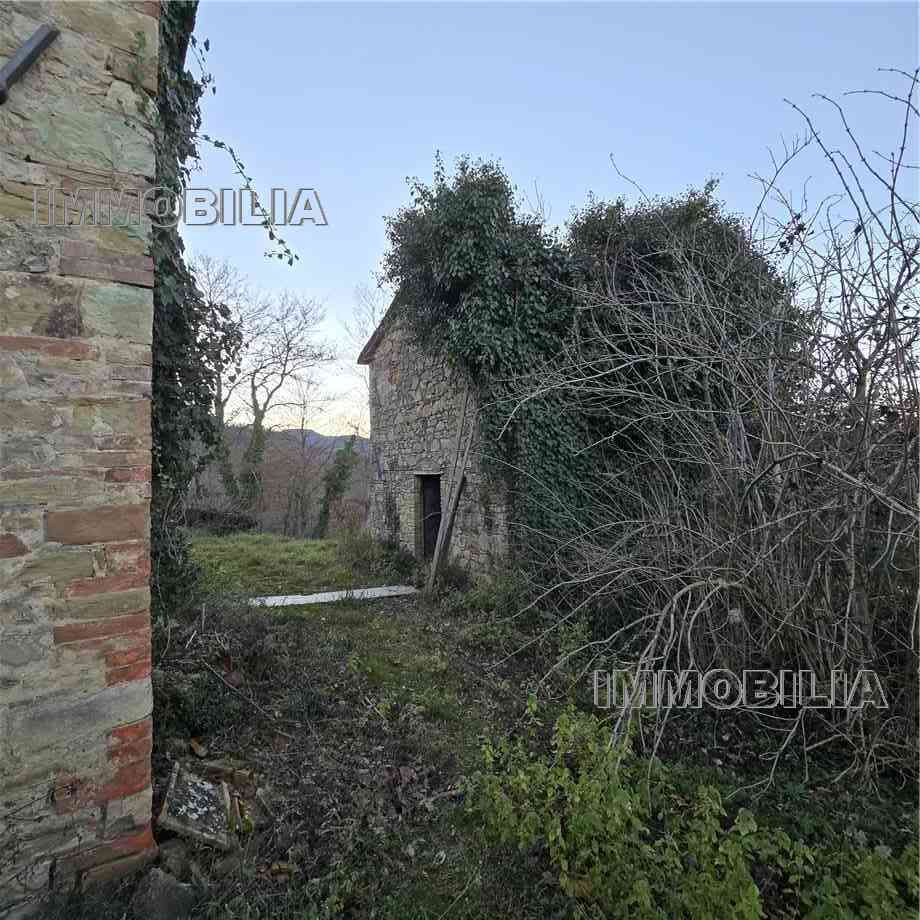 Vendita Casale/Cascina/Casa colonica Monte Santa Maria Tiberina Il Gioiello #614 n.30