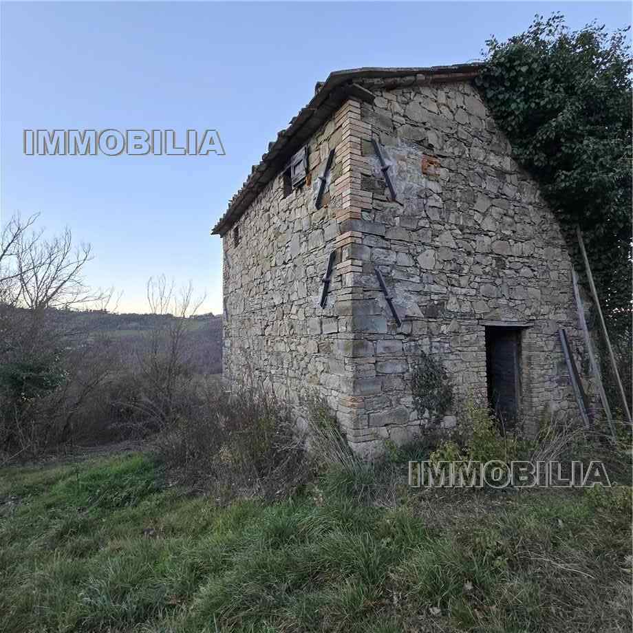 Vendita Casale/Cascina/Casa colonica Monte Santa Maria Tiberina Il Gioiello #614 n.31