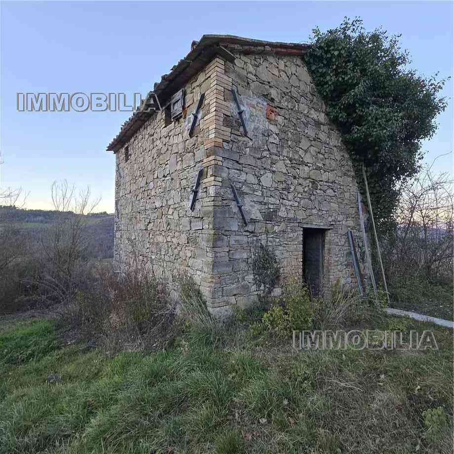 Vendita Casale/Cascina/Casa colonica Monte Santa Maria Tiberina Il Gioiello #614 n.32