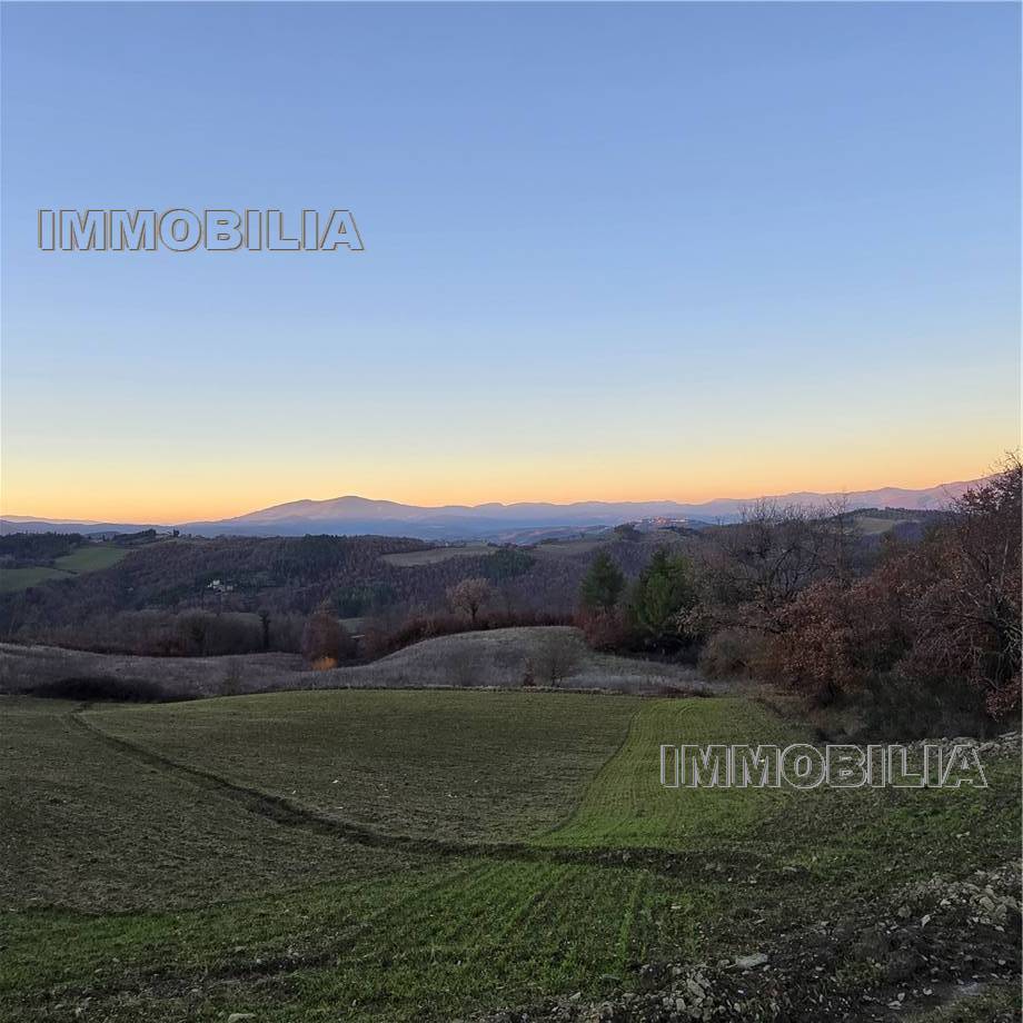 Vendita Casale/Cascina/Casa colonica Monte Santa Maria Tiberina Il Gioiello #614 n.34