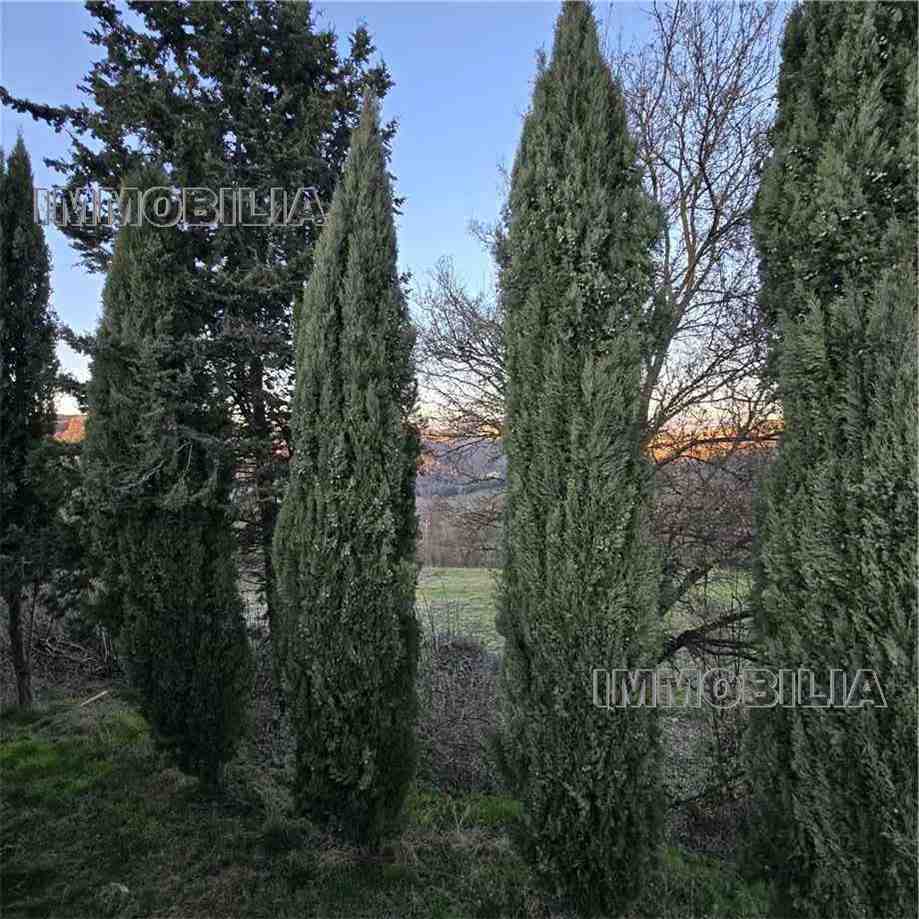 Vendita Casale/Cascina/Casa colonica Monte Santa Maria Tiberina Il Gioiello #614 n.6