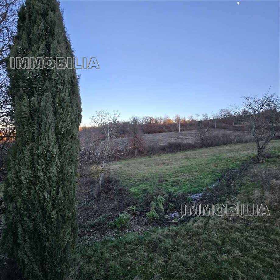 Vendita Casale/Cascina/Casa colonica Monte Santa Maria Tiberina Il Gioiello #614 n.7