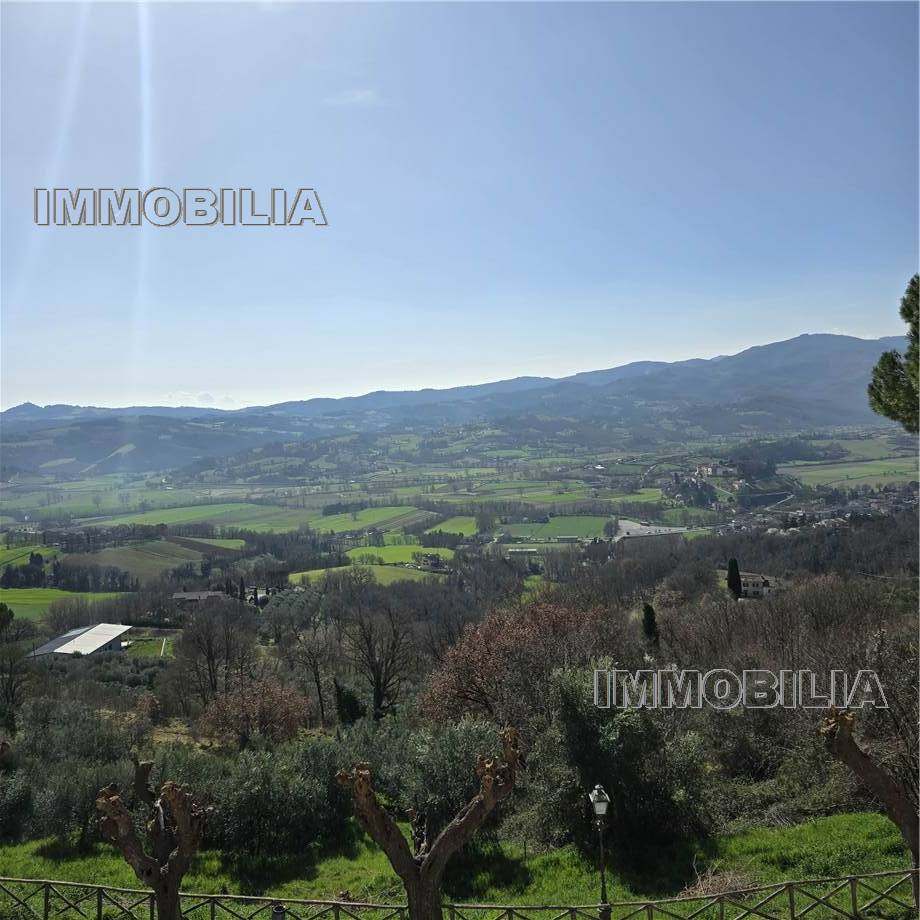 For sale Terratetto/Terracielo Citerna  #616 n.11