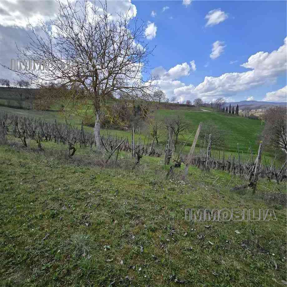 Laboratorio artigiano Monterchi 618