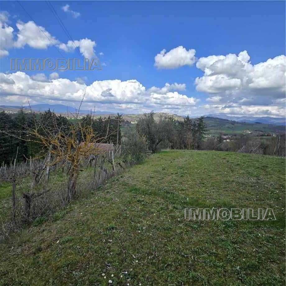 Vendita Laboratorio artigiano Monterchi  #618 n.2