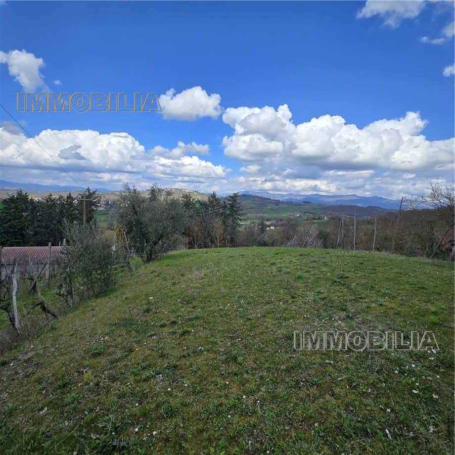 Vendita Laboratorio artigiano Monterchi  #618 n.3