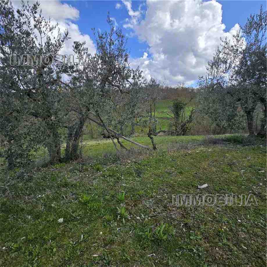 Vendita Laboratorio artigiano Monterchi  #618 n.4