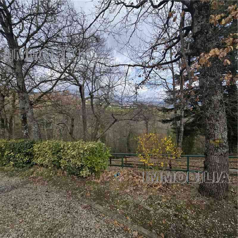 For sale Detached house Caprese Michelangelo  #621 n.30