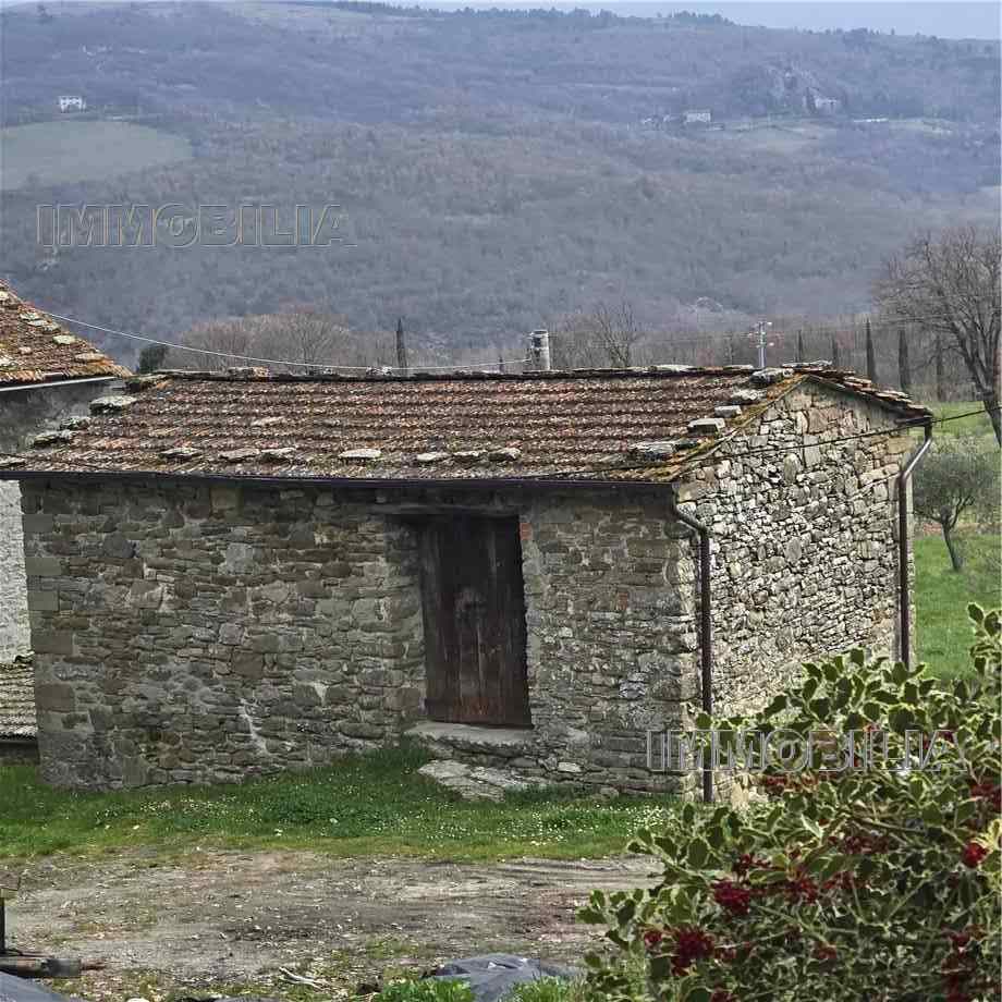 For sale Detached house Caprese Michelangelo  #621 n.31