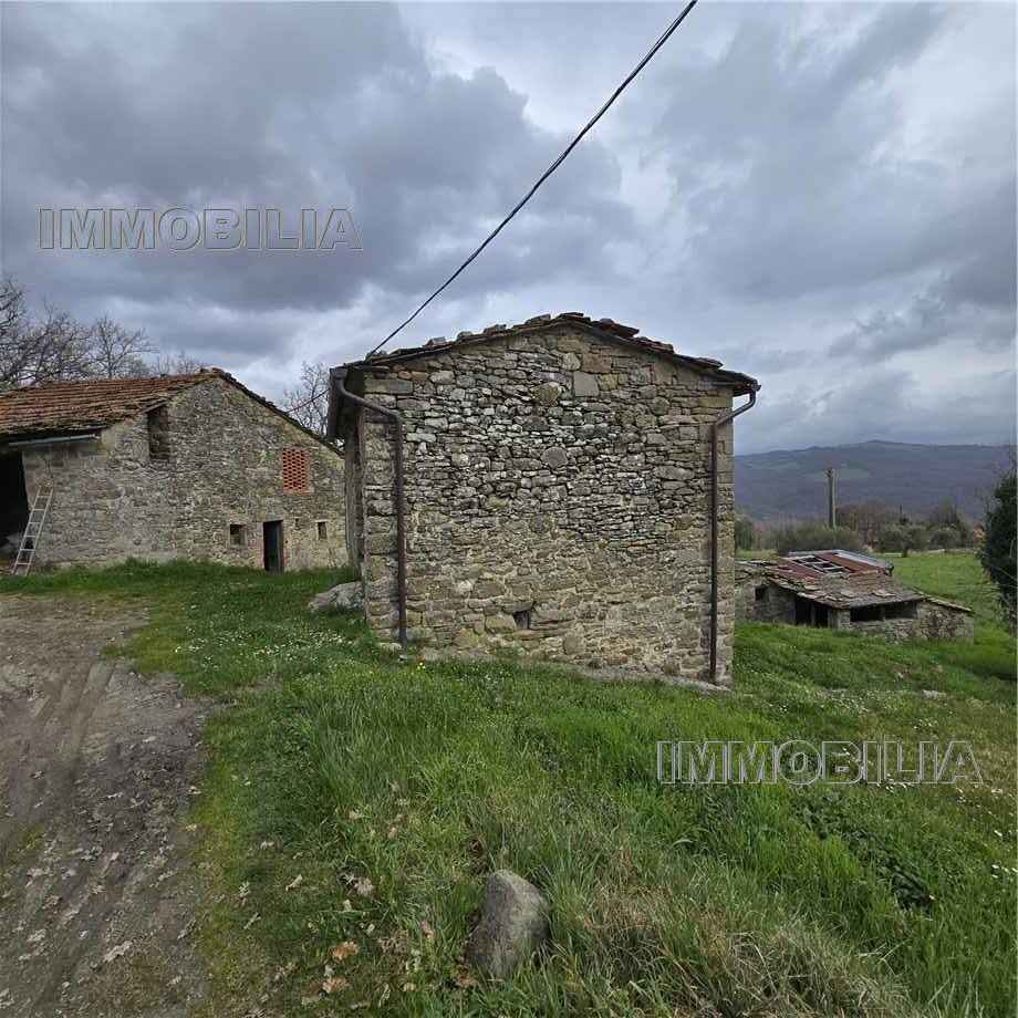 For sale Detached house Caprese Michelangelo  #621 n.33