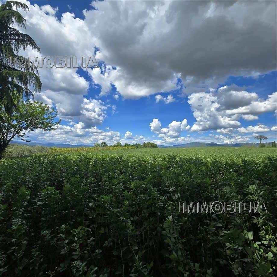 Bare land Citerna 622
