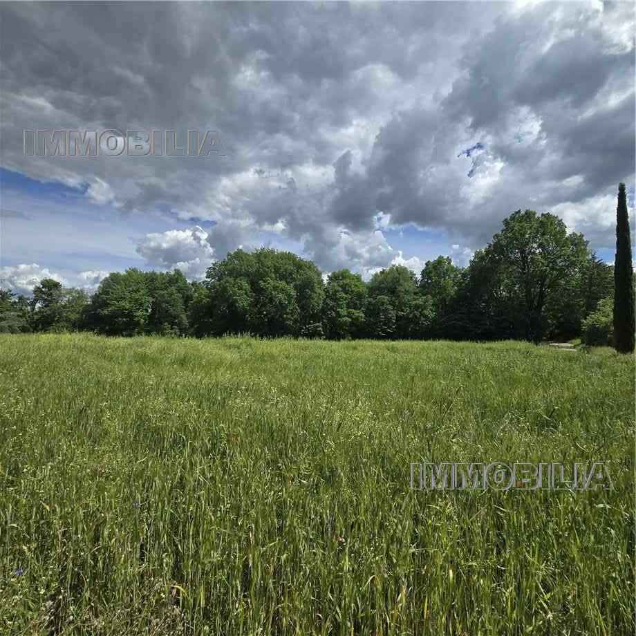 For sale Bare land Citerna FIGHILLE #622 n.3