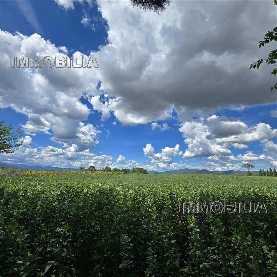 For sale Bare land Citerna FIGHILLE #622 n.4