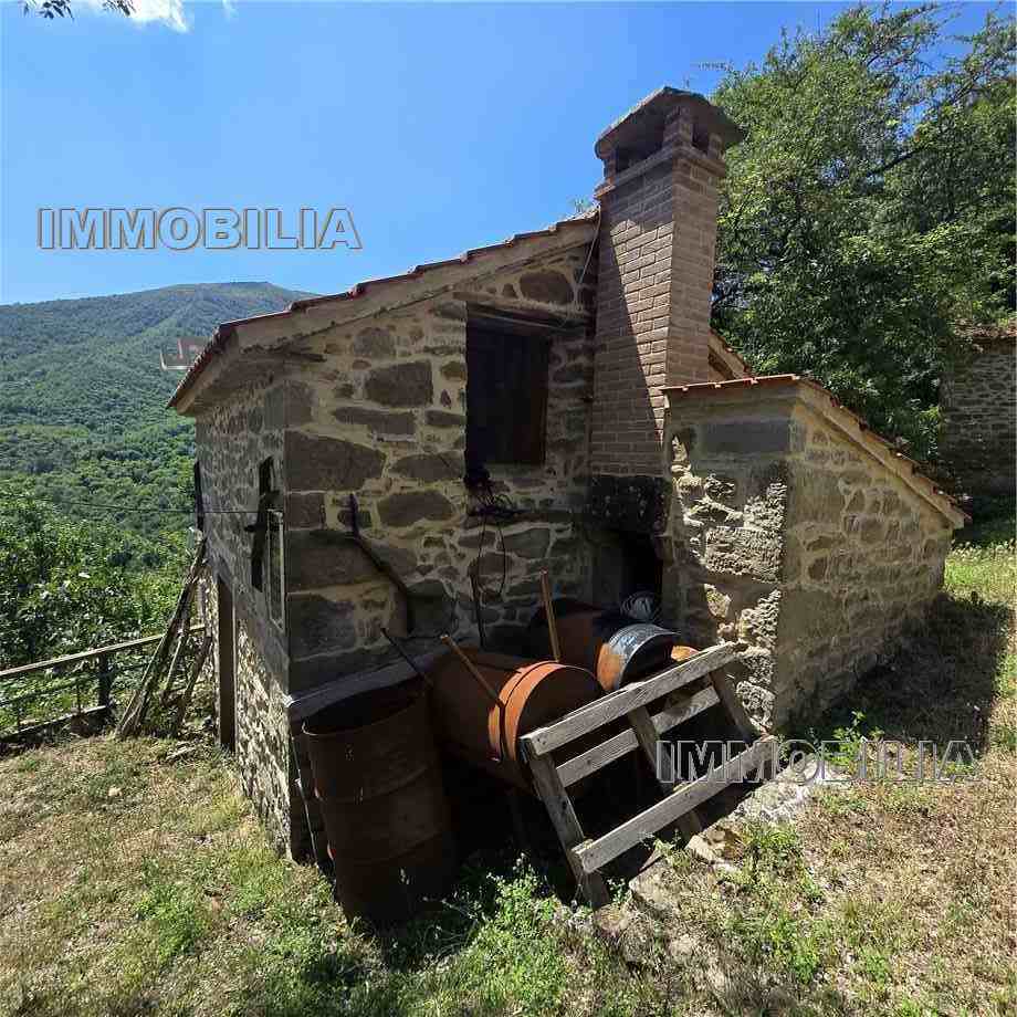 Venta Terratetto/Terracielo Caprese Michelangelo  #629 n.32