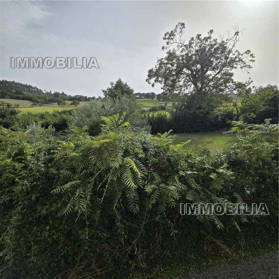 For sale Apartment Citerna  #633 n.29