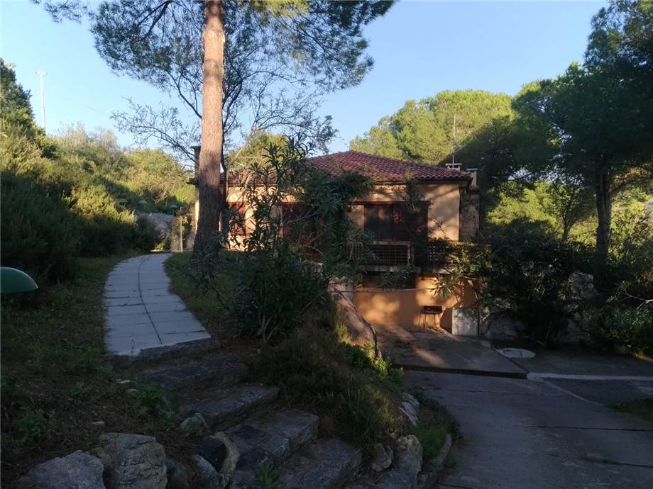 For sale Detached house Campo nell'Elba Marina di Campo #1920 n.6