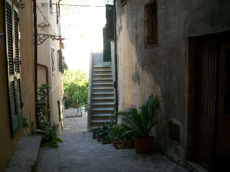 Venta Local commercial Rio Rio nell'Elba città #3598 n.3