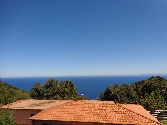Apartment Marciana 3742