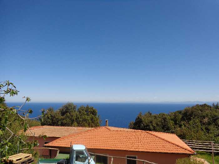 Apartment Marciana 3743