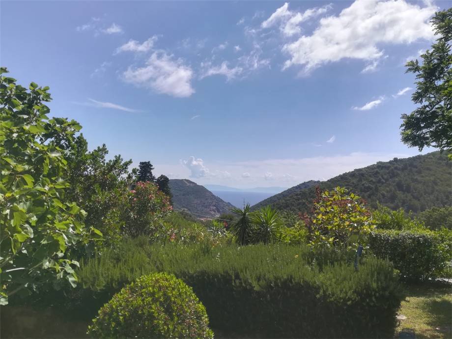 Vendita Villa/Casa singola Rio Rio Marina altre zone #4203 n.3