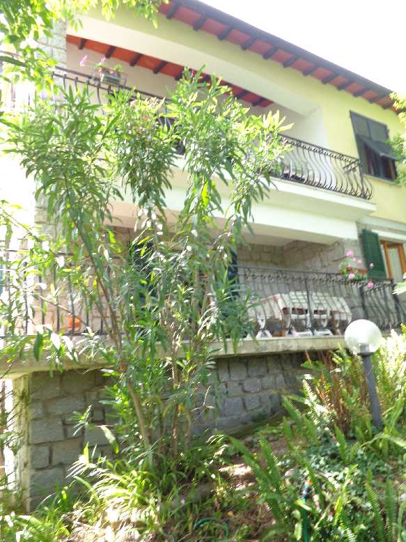 Vendita Casa bifamiliare Marciana S. Andrea/La Zanca #4213 n.2