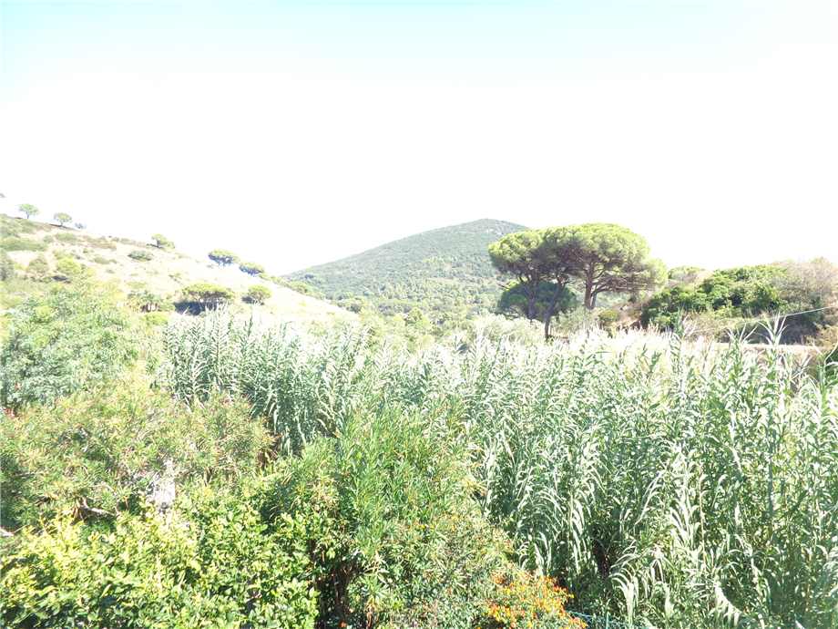 For sale Apartment Rio Rio nell'Elba altre zone #4560 n.4
