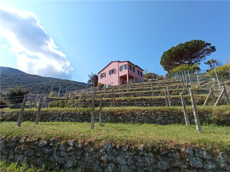 Vendita Casa indipendente Marciana S. Andrea/La Zanca #4800 n.7