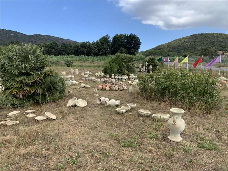 Vendita Altro Campo nell'Elba La Pila #4809 n.5