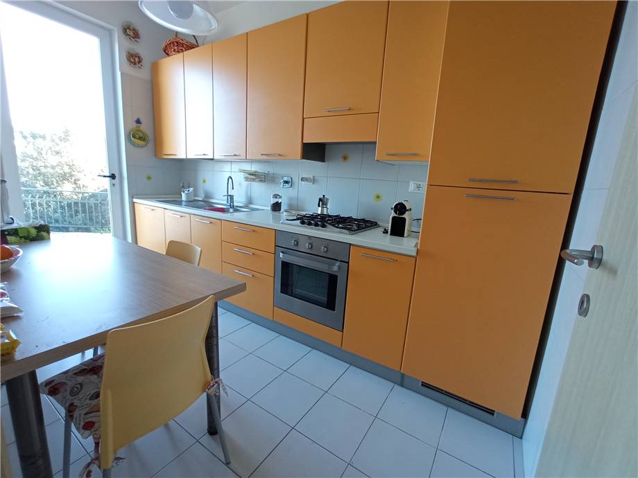 Vendita Villa bifamiliare Marciana Procchio/Campo all'Aia #4854 n.8