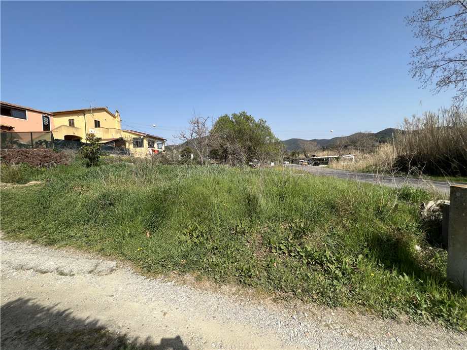 Vendita Rustico/Casale Marciana Marmi #4861 n.5